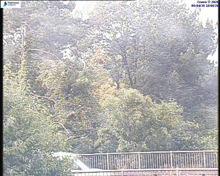 06153-1787040304.jpg