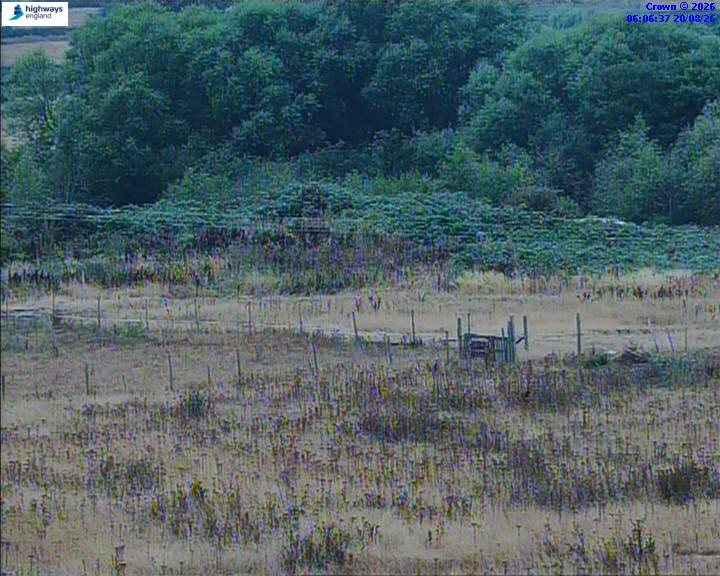 06274-1787206007.jpg
