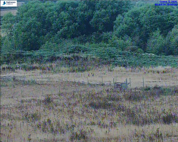 06274-1787213015.jpg