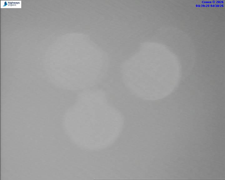 06274-1791088789.jpg