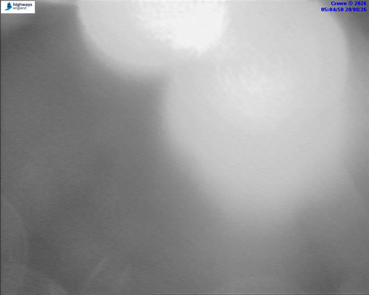 06389-1787202306.jpg