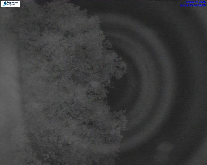 06426-1791085206.jpg