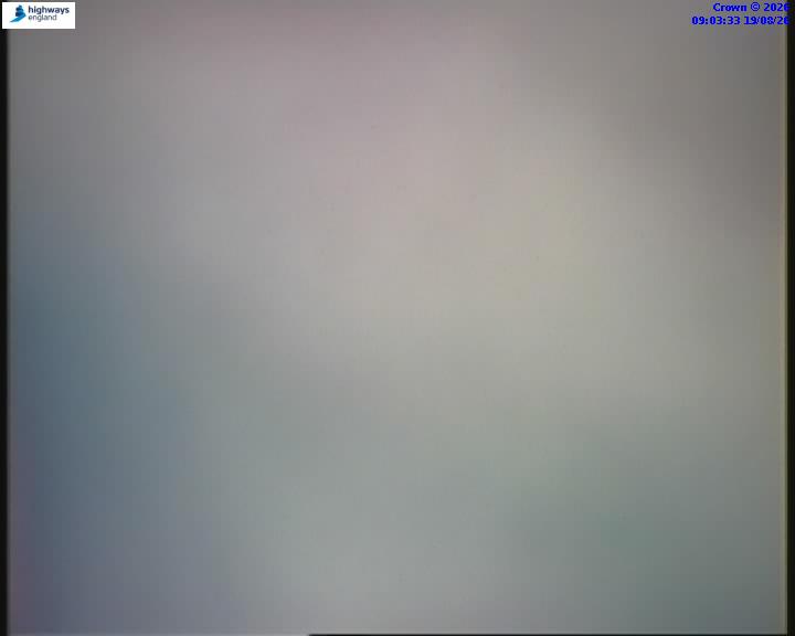 31233-1787130226.jpg