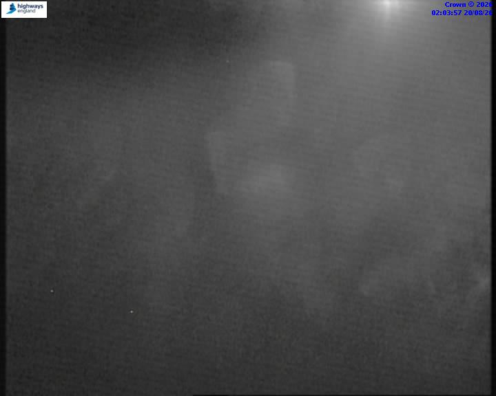 06530-1787191441.jpg