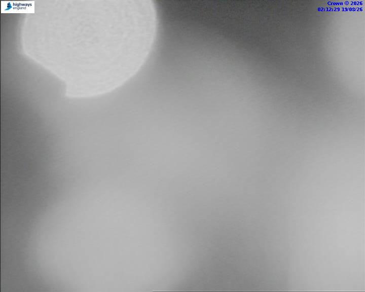 06462-1787105563.jpg