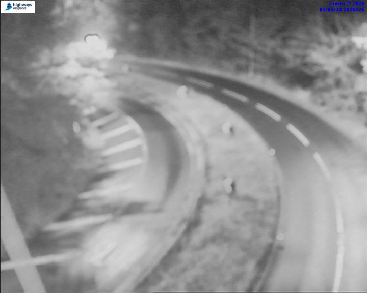 06462-1787195067.jpg