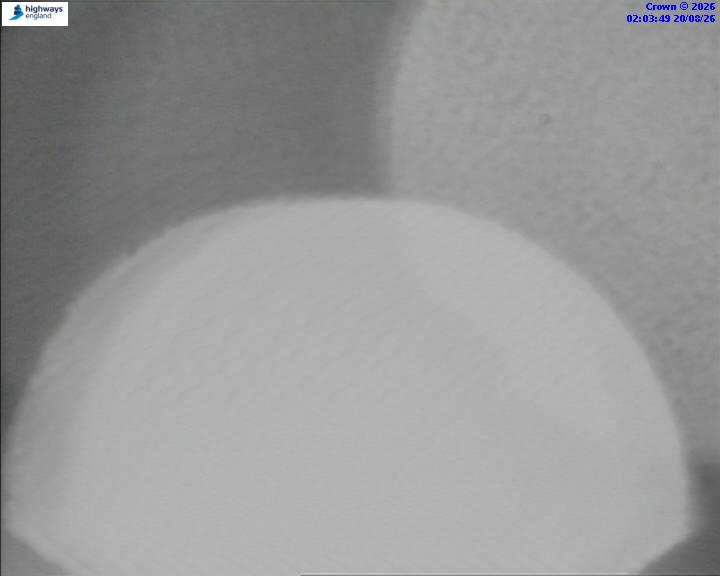 06442-1787191439.jpg
