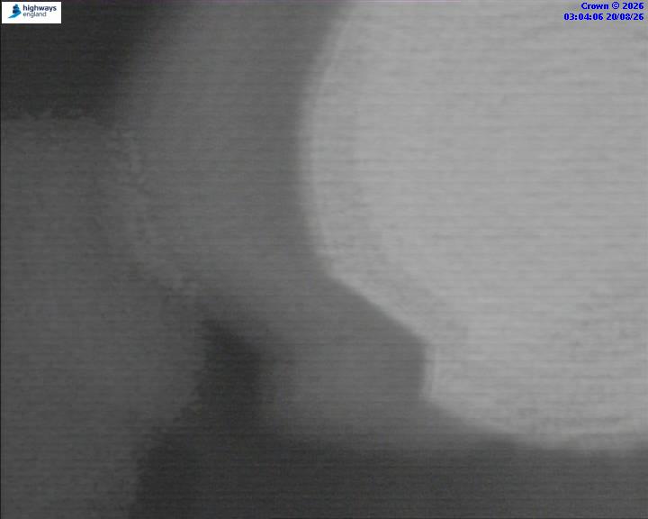 06442-1787195065.jpg