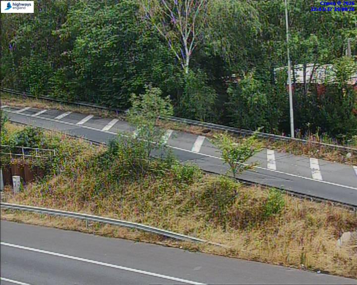 06461-1787141037.jpg