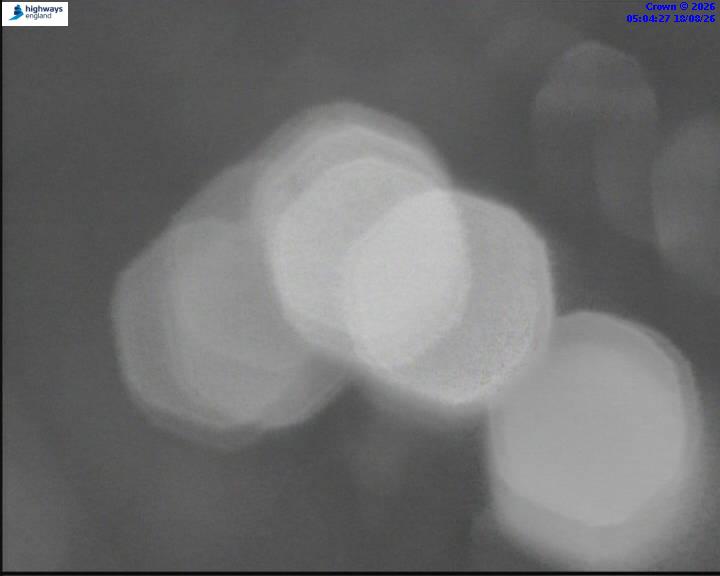 36643-1787029472.jpg