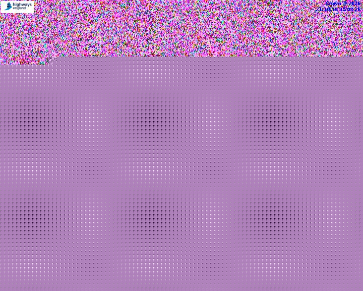 36793-1787087446.jpg