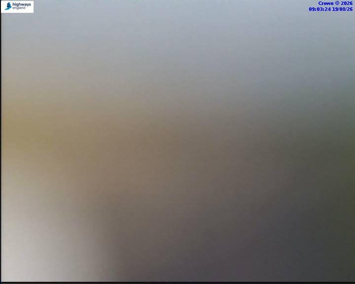 36858-1787130218.jpg