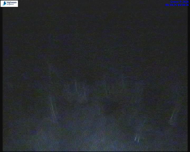 36907-1791074379.jpg