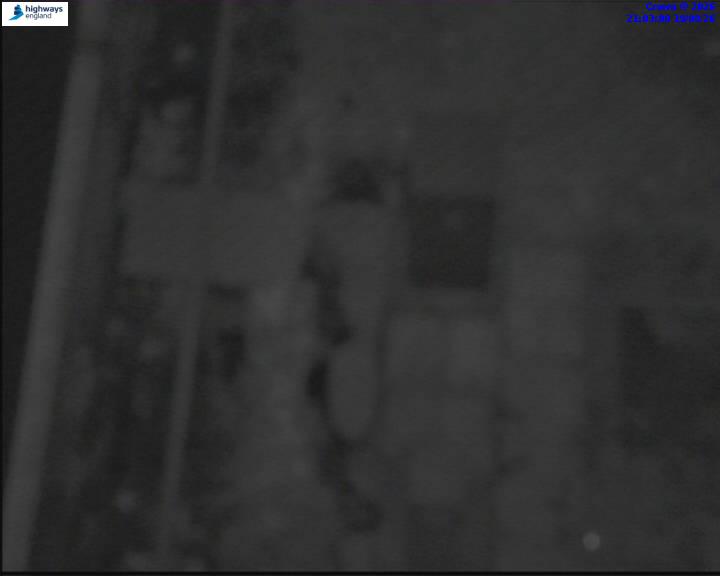 31310-1787173397.jpg