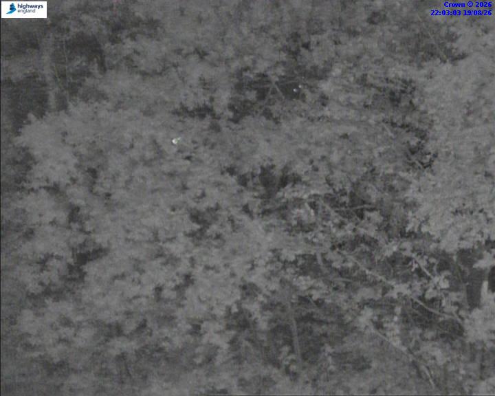 31313-1787176986.jpg