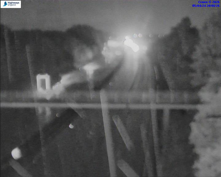 31313-1787202280.jpg