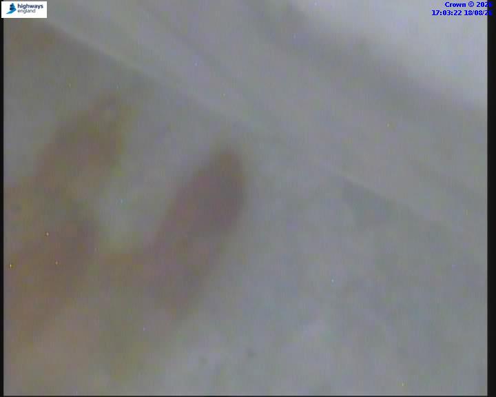 38262-1787072613.jpg