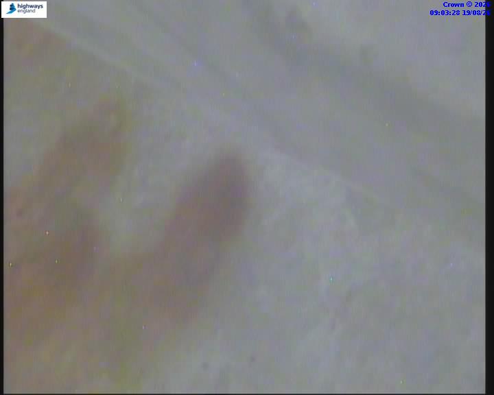 38262-1787130213.jpg