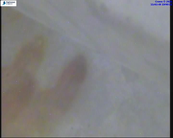 38262-1787137388.jpg