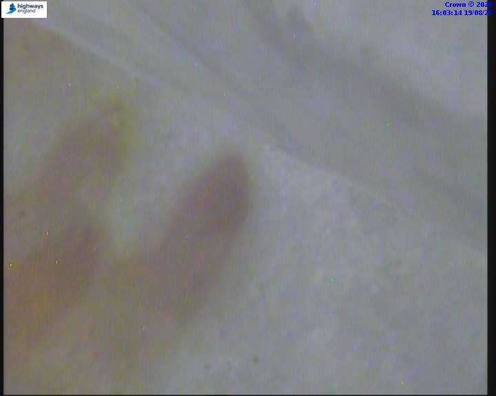 38262-1787155395.jpg