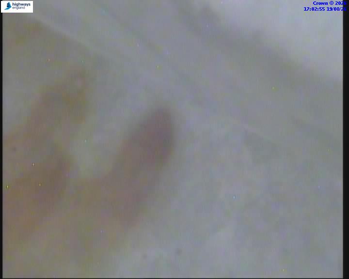 38262-1787158990.jpg
