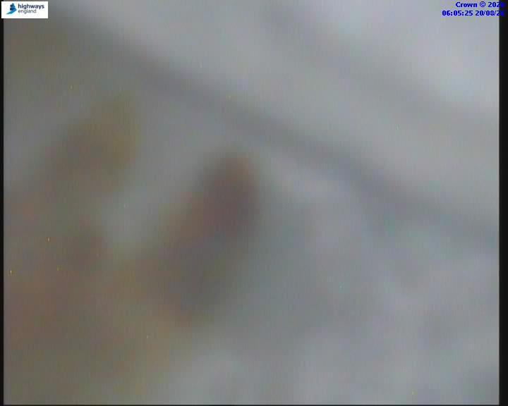 38262-1787205943.jpg