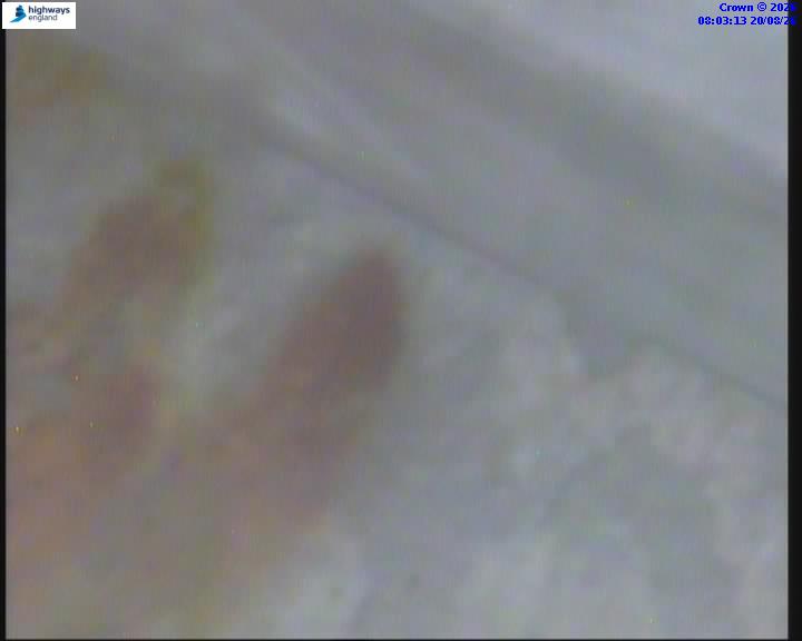 38262-1787212994.jpg