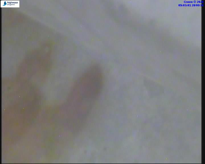 38262-1787216601.jpg