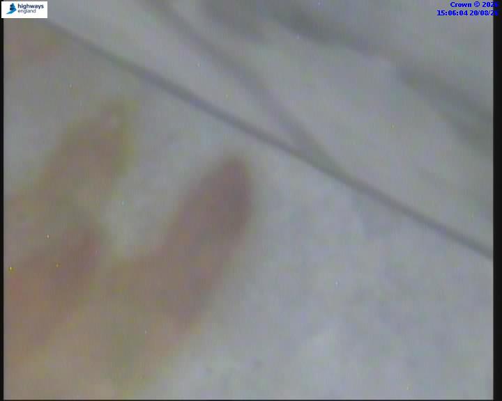 38262-1787238366.jpg
