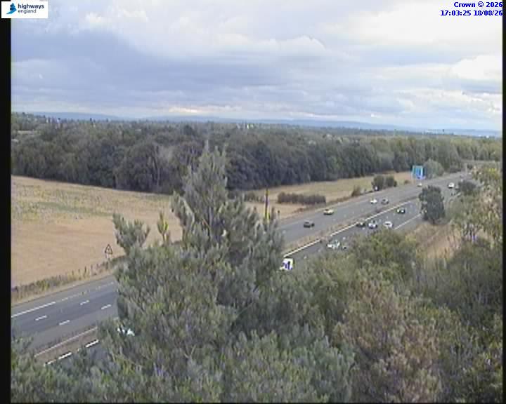 38207-1787072614.jpg