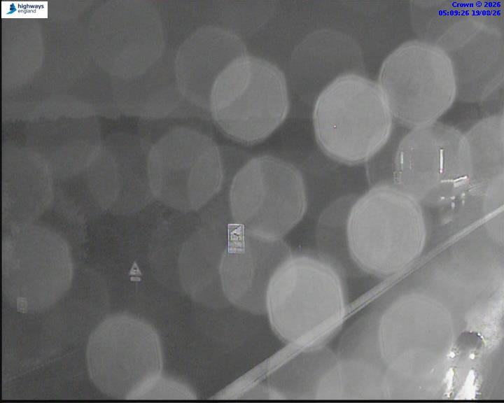 31381-1787116195.jpg