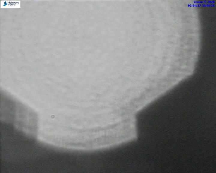31386-1787018662.jpg