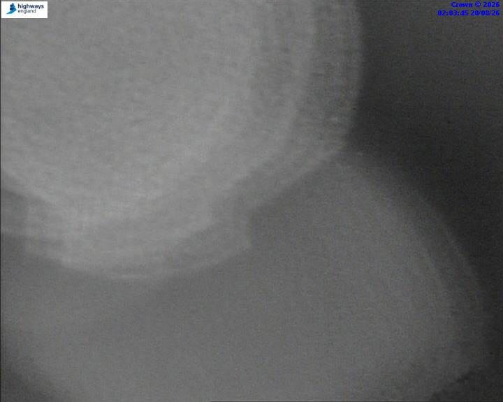 31386-1787191427.jpg