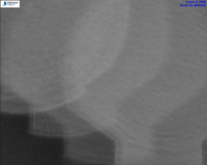 31420-1787191425.jpg