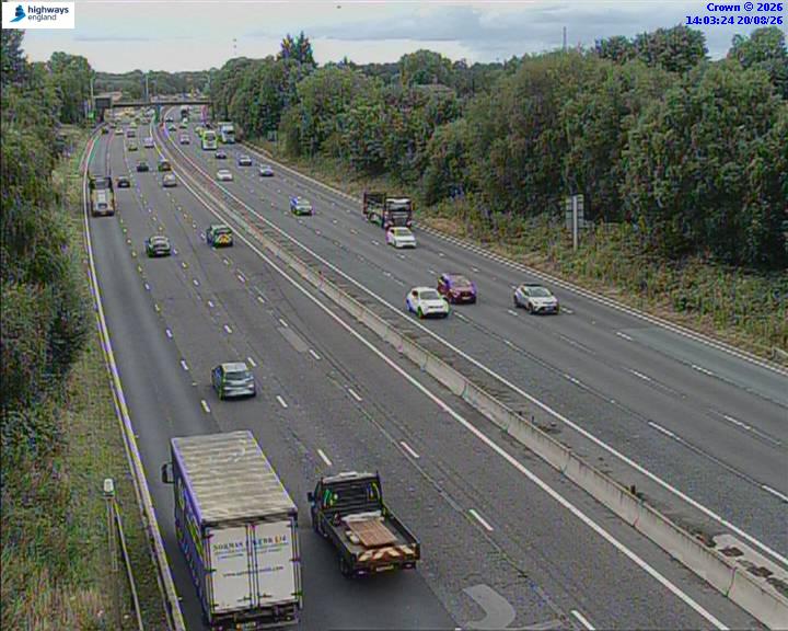31420-1787234612.jpg