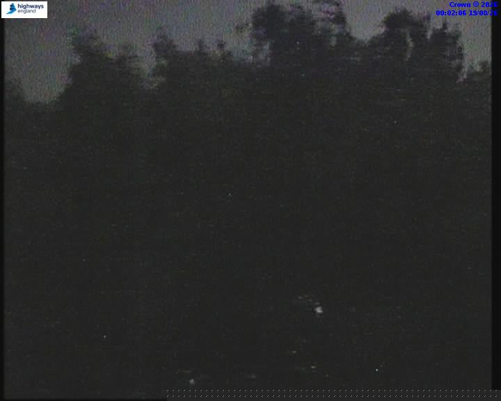 39528-1787097771.jpg