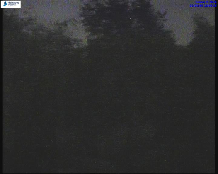 39528-1787105313.jpg