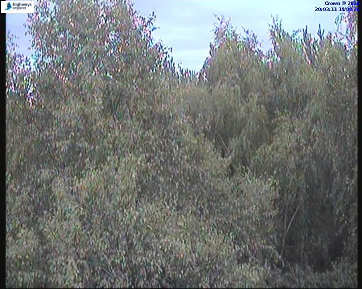 39528-1787169798.jpg