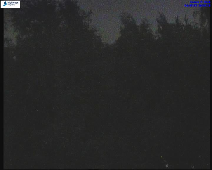 39528-1787198785.jpg
