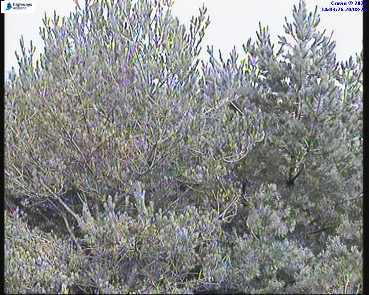 39528-1787234610.jpg