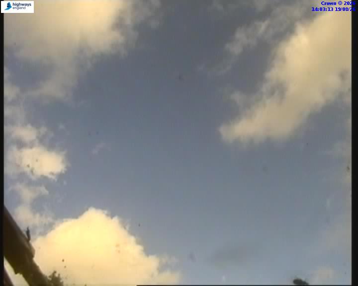 39517-1787148206.jpg