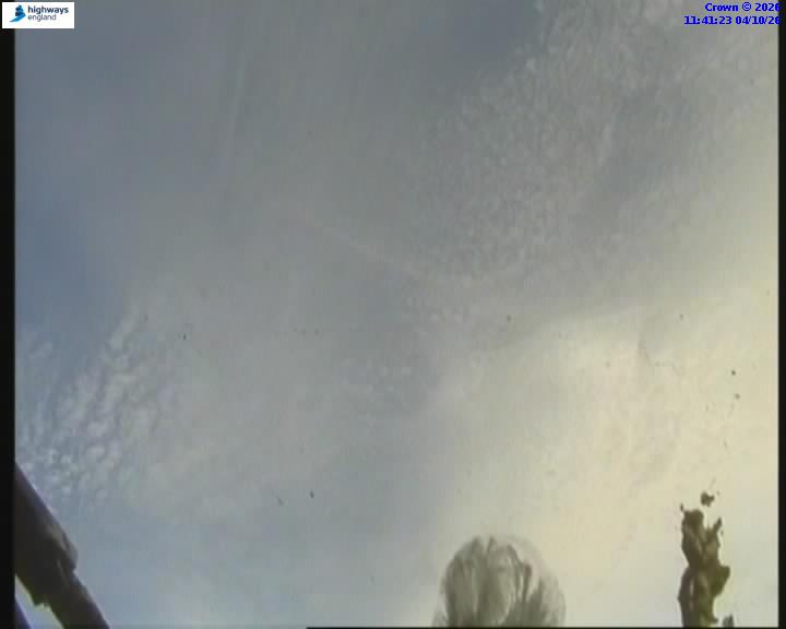 39517-1791114092.jpg
