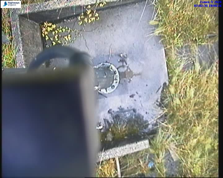 39505-1787122977.jpg