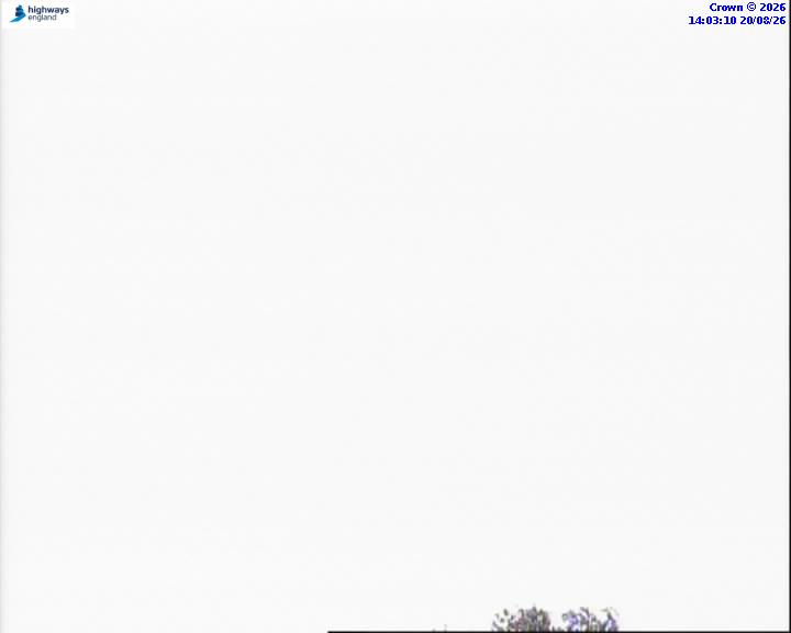 37179-1787234606.jpg