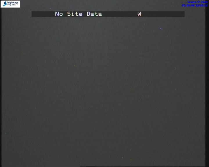 37264-1787116111.jpg
