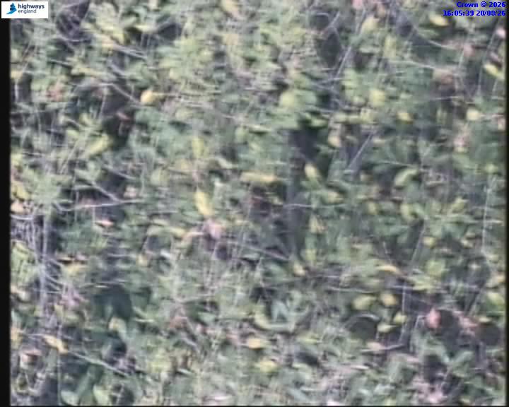32330-1787241958.jpg