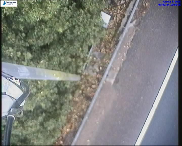 32353-1787122976.jpg