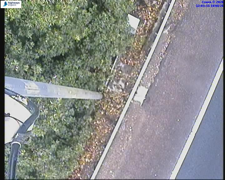 32353-1787141019.jpg