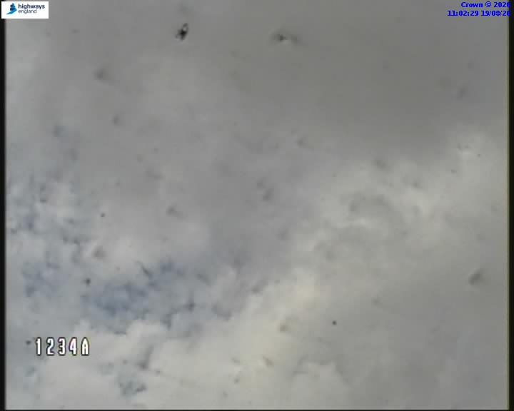 37649-1787137374.jpg