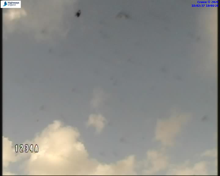 37649-1787162577.jpg